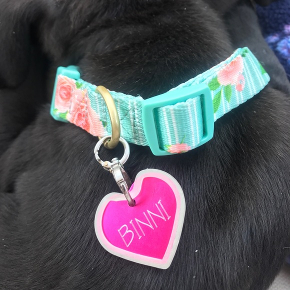 Meet your Posher, Jeanna - Picture 9 of 9